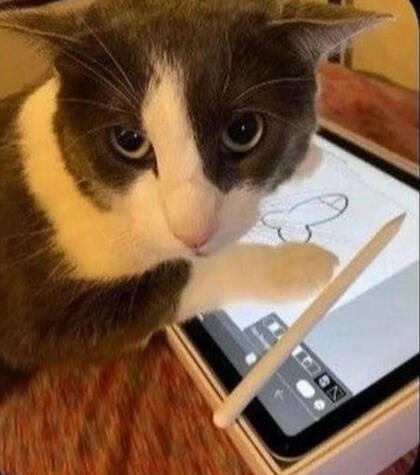 Live footage of me doing your commissions